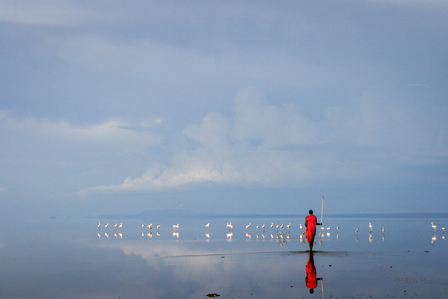 Northern Parks & Lake Natron