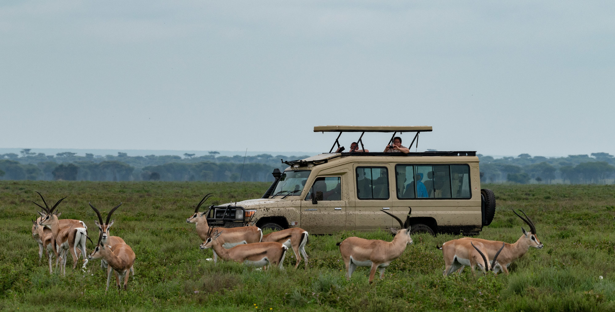 Our safaris in Tanzania