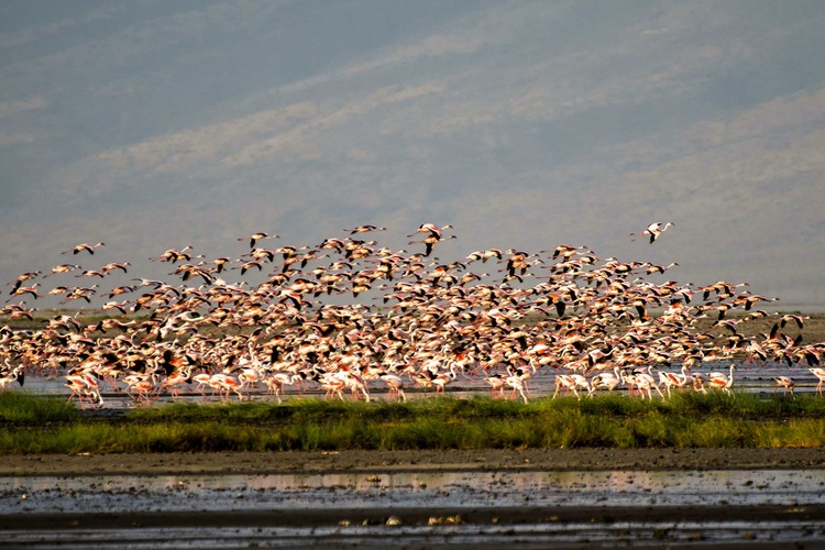 Lake Natron in Tanzania