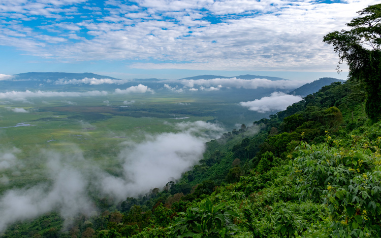 View of the Ngorongoro crater