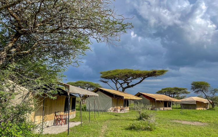 Tented-camp in Tanzania