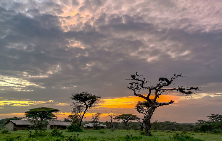 Sunset at Selous