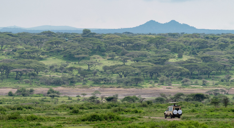 Tarangire national park