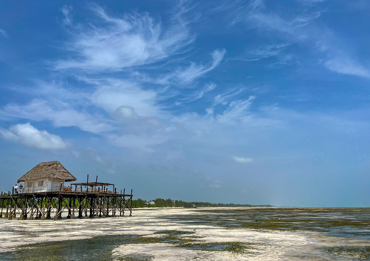 Beach of Zanzibar