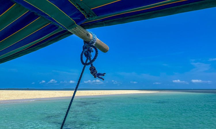 Zanzibar's beach